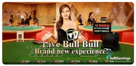 Live Bull Bull game img